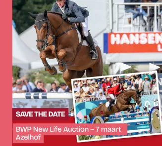 save the date New Life Auction