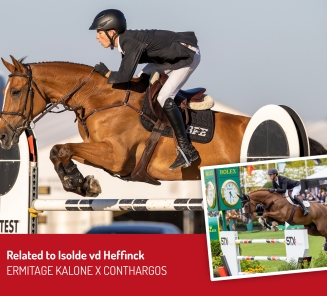 BWP New Life Auction 2026