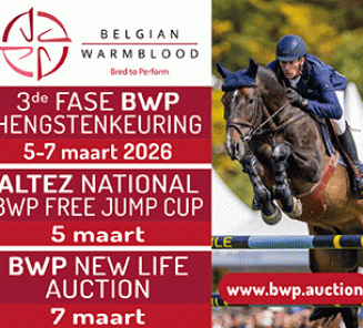 hengstenkeuring 2026