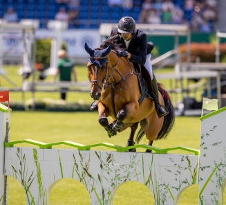 Igor van de Wittemoere & Nayel Nassar 