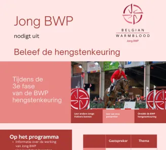 leermoment jong bwp