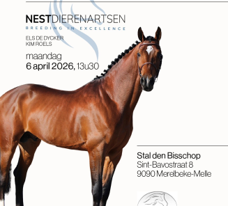 hengstenvoorstelling