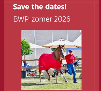 save the dates zomer 2026