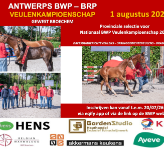 Flyer Antwerps Veulenkampioenschap 