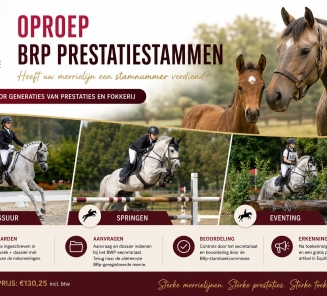 prestatiestammenBRp