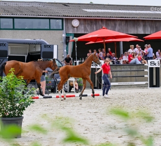 BWP Wambeek