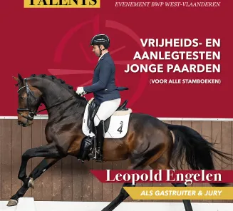young dressage talents