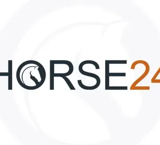 horse24
