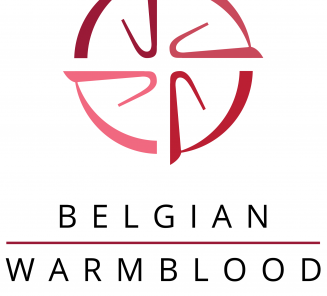 Hengsten die doorgaan naar de 3 de fase geboren gewest Moerbeke Hengsten die doorgaan naar de 3 de fase geboren gewest Moerbeke