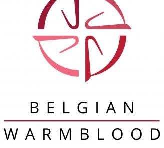 Uw BWP lidmaatschap Uw BWP lidmaatschap