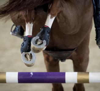 CSI5* Tryon: twee volle broers pakken goud en zilver