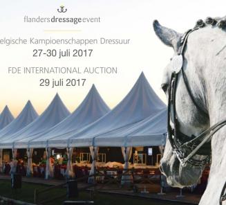 Realistische prijzen op de 4de FDE International Foal Auction Realistische prijzen op de 4de FDE International Foal Auction