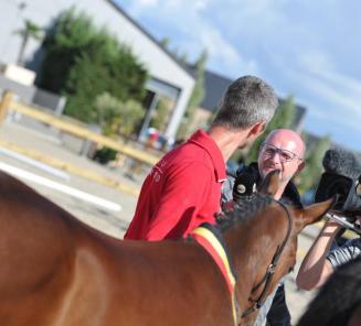 Reportage Nationaal Veulenkampioenschap op HippoTV! Reportage Nationaal Veulenkampioenschap op HippoTV!