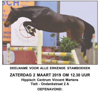 Wedstrijd vrijspringen voor 2-en 3 jarige paarden te Tielt Wedstrijd vrijspringen voor 2-en 3 jarige paarden te Tielt