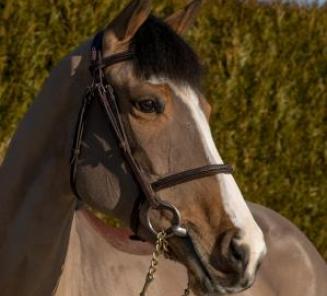 Longines Global Champions Tour of Mexico City Longines Global Champions Tour of Mexico City