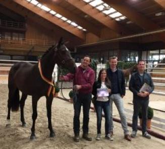 Hadewyn van 't Ravennest wint vrijspringen voor 2jarige merries in Moorsele Hadewyn van 't Ravennest wint vrijspringen voor 2jarige merries in Moorsele