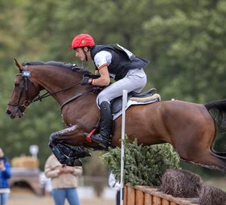 Belgen scoren met Belgische paarden op eventingwedstrijden Strzegom en Saumur