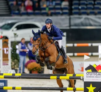 Des chevaux BWP dans les classements de saut d'obstacles, dressage et concours complet