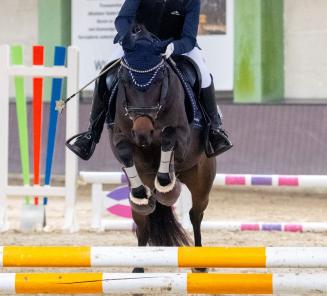 Laatste dagen inschrijven wedstrijd Bestgaande Rijpony! Laatste dagen inschrijven wedstrijd Bestgaande Rijpony!