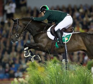Ierland wint EK goud met twee BWP'ers en een elite hengst Ierland wint EK goud met twee BWP'ers en een elite hengst