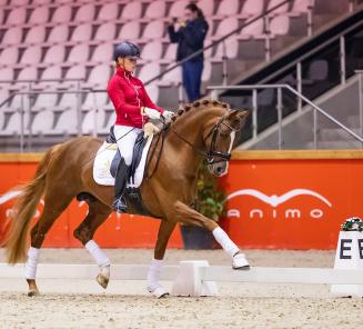 Flynn et Oblix vd Kempenhoeve (photo) aux Championnats du Monde des jeunes chevaux de dressage