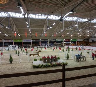 BWP Top Stallion Auction: biedingen van start