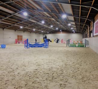 Geselecteerde paarden BWP Zuid-Oost-Vlaanderen voor Flanders BWP Cup Geselecteerde paarden BWP Zuid-Oost-Vlaanderen voor Flanders BWP Cup