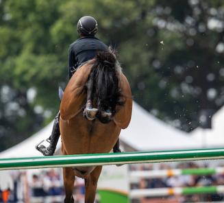 Gentleman van het Veldhof wint GP Praag