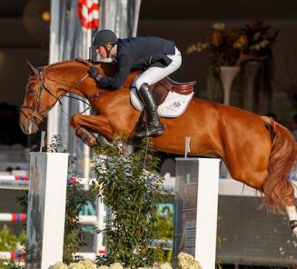 Emerald zoon Igor is vice-Belgisch kampioen Emerald zoon Igor is vice-Belgisch kampioen