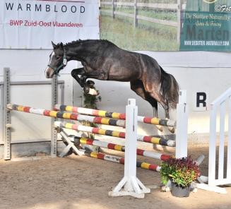 Succesvolle eerste selectiedag voor FDE, ism BWP