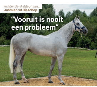 Dit al gelezen? Dit al gelezen?