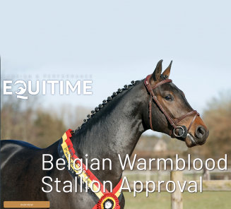 Stallion reports in special edition of EquiTime