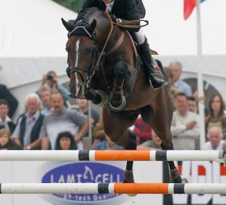 Ambassadeurs Toulon, Nabab de Reve en Bentley vd Heffinck (foto) leveren GP winnaars