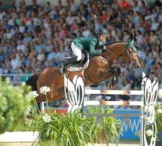 BWP Elitehengst Chaqui wint GP Wellington! BWP Elitehengst Chaqui wint GP Wellington!