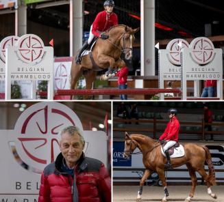 BWP Hengstenkeuring: de goedgekeurde 3-jarige springhengsten BWP Hengstenkeuring: de goedgekeurde 3-jarige springhengsten