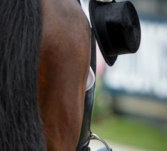 Dressuur: BWPer Galant onder Lisa Wilcox in Amerikaans Nations Cup Team Dressuur: BWPer Galant onder Lisa Wilcox in Amerikaans Nations Cup Team