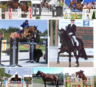 8 new Elite mares for the BWP studbook
