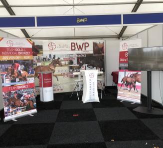 BWPers goed vertegenwoordigd op WK jonge springpaarden BWPers goed vertegenwoordigd op WK jonge springpaarden