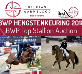 Registrations for the BWP Stallion Selection are breaking all records