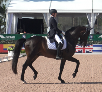 Dressuur: Ben Ebeling & Illuster vd Kampert knallen naar goud en zilver in hun eerste senior CDI3* ooit Dressuur: Ben Ebeling & Illuster vd Kampert knallen naar goud en zilver in hun eerste senior CDI3* ooit
