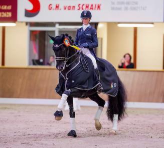 Fanny Verliefden en Jorinde Verwimp scoren op CDI Lier met BWPers Indoctro vd Steenblok en Kastar Hof ter Zeedycke Fanny Verliefden en Jorinde Verwimp scoren op CDI Lier met BWPers Indoctro vd Steenblok en Kastar Hof ter Zeedycke