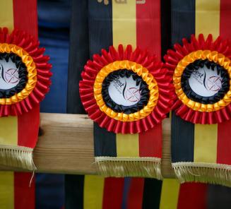 BWP reikt voor het eerst de young stallion award uit! BWP reikt voor het eerst de young stallion award uit!