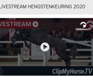 Volg onze BWP Hengstenkeuring via live stream Volg onze BWP Hengstenkeuring via live stream
