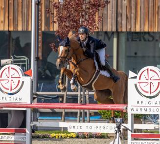 Nationale Finale SBB Competitie voor Jonge Paarden in Sentower Park op 21 juli Nationale Finale SBB Competitie voor Jonge Paarden in Sentower Park op 21 juli