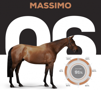 BWPer Massimo veilingtopper op The Ten voor 690.000 euro BWPer Massimo veilingtopper op The Ten voor 690.000 euro