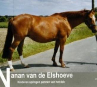 Merrie van het jaar: Nanan Van De Elshoeve