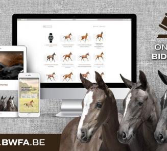 BWFA experimenteert BWFA experimenteert