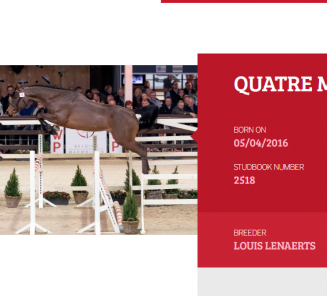 English reports of the 2019 approved stallions are online