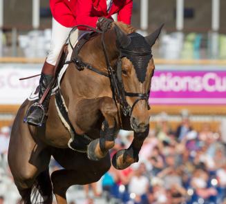 Kassandra van t Heike (v. Epleaser van t Heike) wint GP Bonheiden