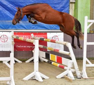 Longines Global Champions Tour of Mexico City Longines Global Champions Tour of Mexico City